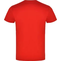 ESQUIAR EN LA NIEVE -ESQUIAR EN LA NIEVE kruskis camiseta manga corta hippie van snowboard 4